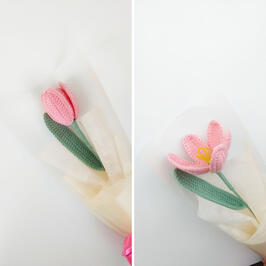 TULIP