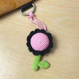 BLACK-PINK DAISY