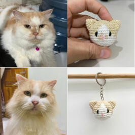 KUCING #4
